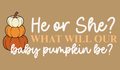 Pumpkin Patch Gender Reveal